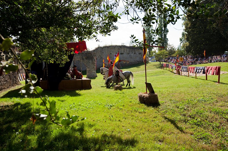 2014-08-16-Festival-Médiéval-au-Castrum-de-Pommyers-153.jpg